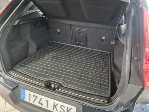 WhatsApp Image 2026-03-23 at 10.11.28 (1)