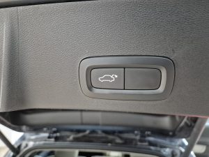 WhatsApp Image 2026-03-23 at 10.11.28